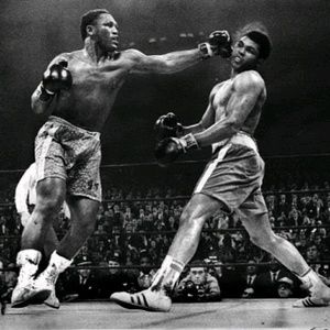 Meet your Posher, Oliver